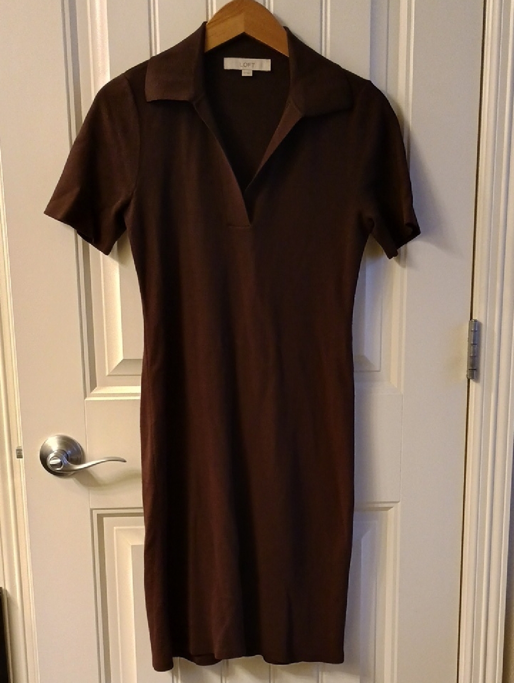 LOFT Brown Collared Short-Sleeve Knit Dress